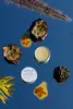 2. PASSIONFRUIT Vegan Lip Balm thumbnail